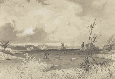 The Pitch Lake by Michel Jean Cazabon