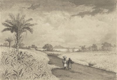 The Road to the Pitch Lake by Michel Jean Cazabon