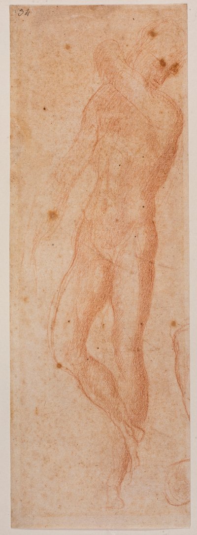 Studies of male nude by Michelangelo (after) Buonarroti