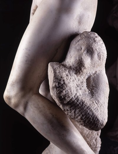 Captive, known as The Dying Slave by Michelangelo Buonarroti