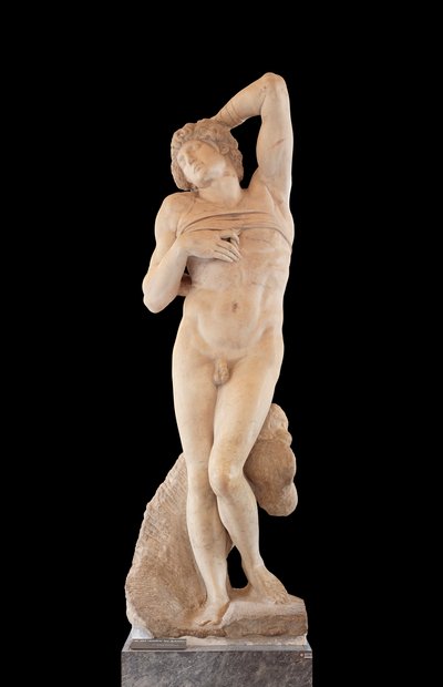 Captive, known as The Dying Slave by Michelangelo Buonarroti
