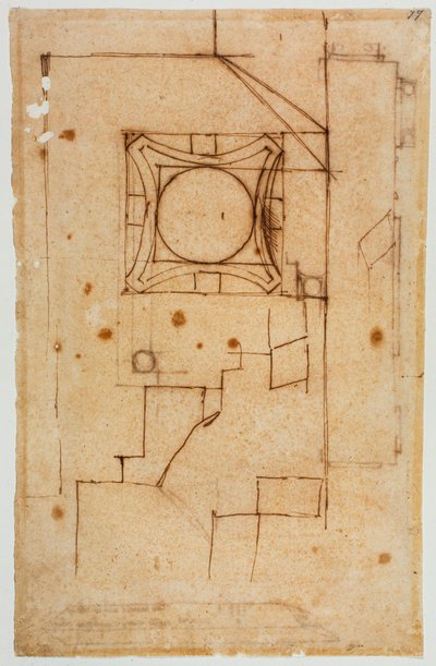 Horizontal Section of Capital by Michelangelo Buonarroti