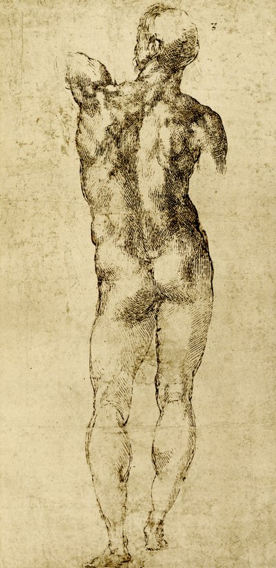 Male Nude by Michelangelo Buonarroti