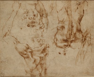 Nude Studies, c. 1490-1560 by Michelangelo Buonarroti