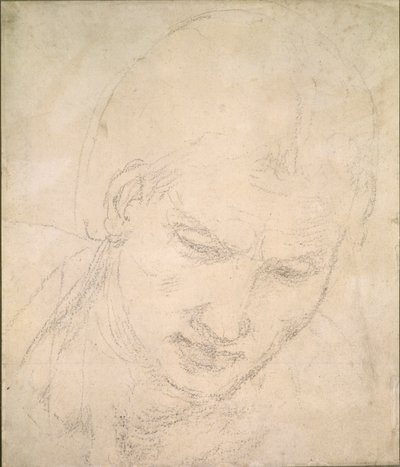 Study of a Head by Michelangelo Buonarroti