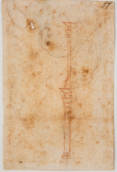Wall Profile by Michelangelo Buonarroti