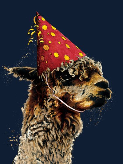 Birthday Alpaca on Midnight Blue, 2020 by Mike Davis