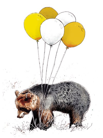 Birthday Bear on White by Mike Davis