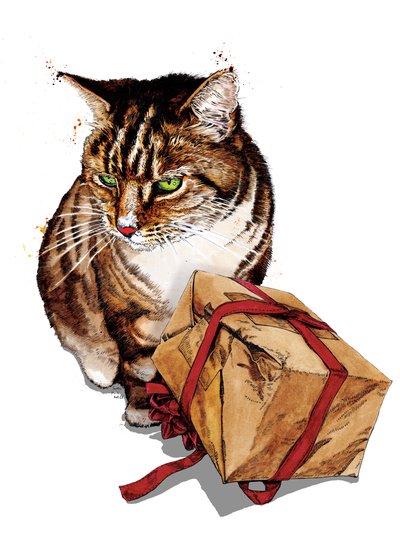 Birthday Cat on White by Mike Davis