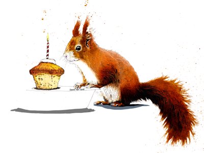 Birthday Squirrel on White by Mike Davis