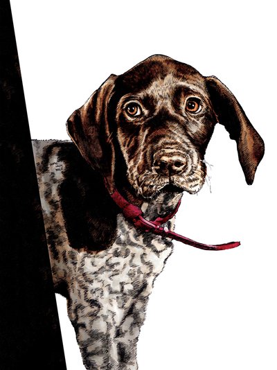 Bye Bye Puppy on White, 2020 by Mike Davis