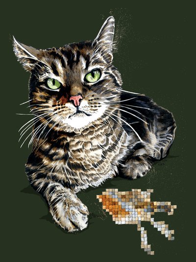 Gift Cat on Forest Green by Mike Davis