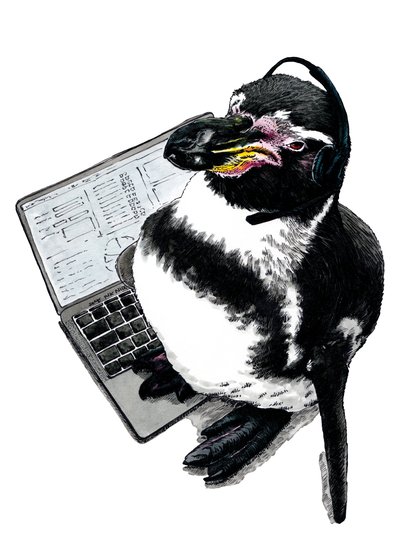 New Job Penguin on White by Mike Davis