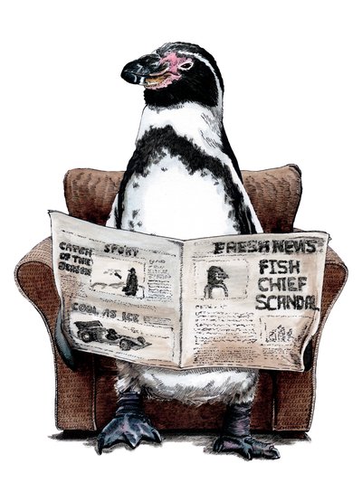 Retirement Penguin on White by Mike Davis