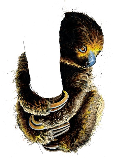 Talita The Sloth by Mike Davis