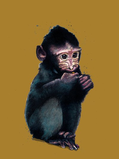 The Baby Macaque on Golden Yellow by Mike Davis
