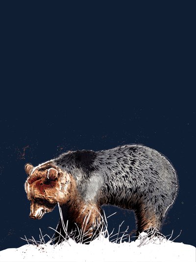 The Bear by Mike Davis