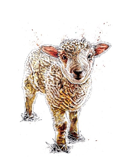 The Lamb on White by Mike Davis