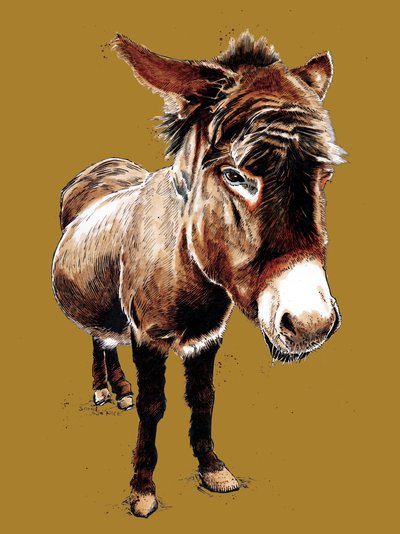 The Little Donkey on Golden Yellow, 2020 by Mike Davis