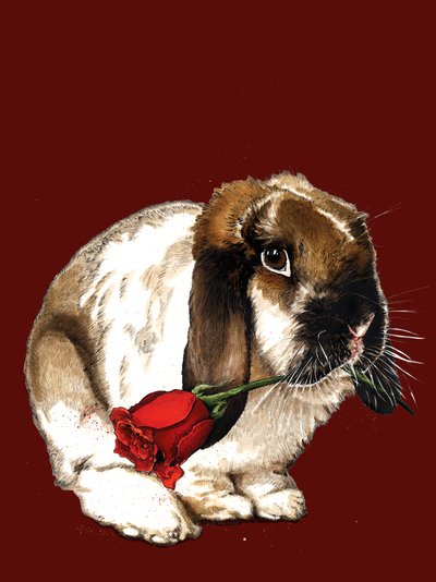 The Love Bunny on Red Oxide, 2020 by Mike Davis