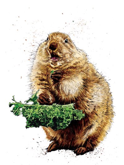 The Prairie Dog on White, 2020 by Mike Davis