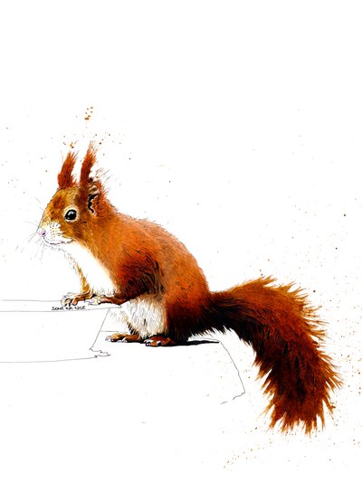 The Red Squirrel by Mike Davis