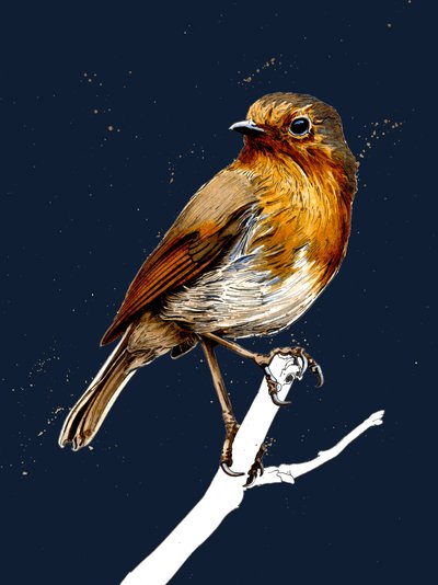 The Robin by Mike Davis