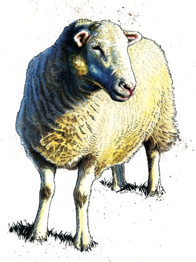The Sheep on White, 2020 by Mike Davis