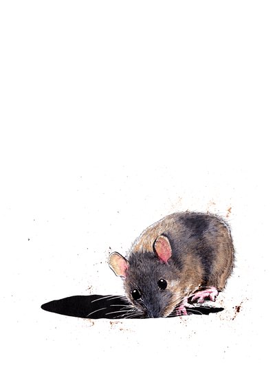 The Woodmouse by Mike Davis