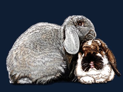 Thinking of Bunnies on Midnight Blue, 2020 by Mike Davis