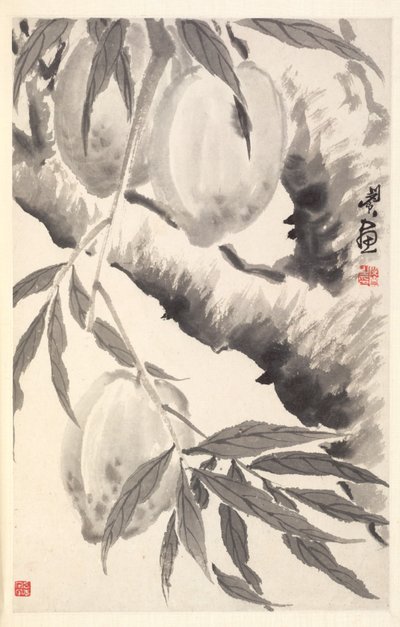 Peaches, 1788 by Min Zhen