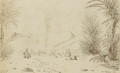 Palms by Miner Kilbourne Kellogg