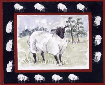 Sheep by Miranda Legard