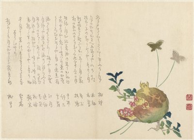 Pomegranate by Miyake Eisai