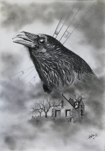 Home by Monika Wittrich
