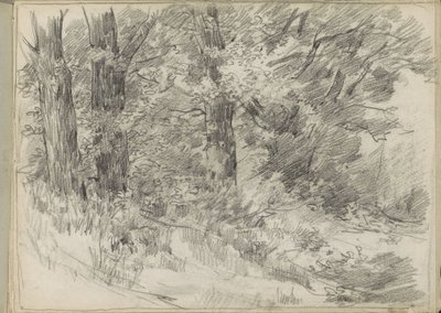 Forest View by Monogrammist DS (tekenaar)