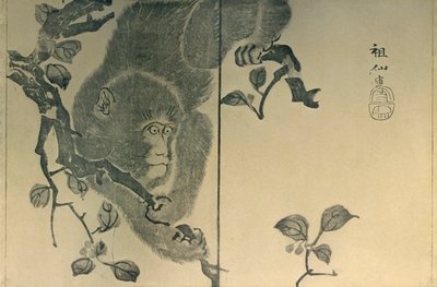 Monkey by Mori Sosen