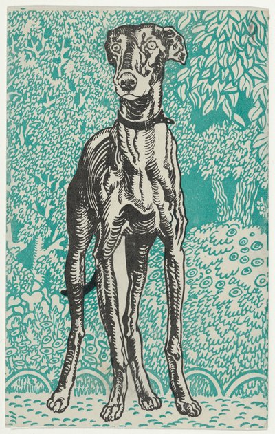 Greyhound by Moritz Jung