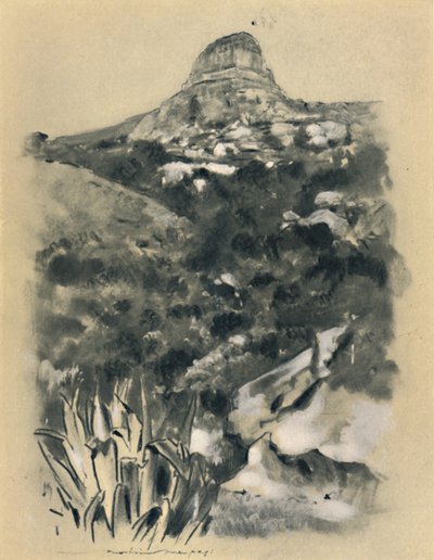 Bloemfontein by Mortimer L Menpes