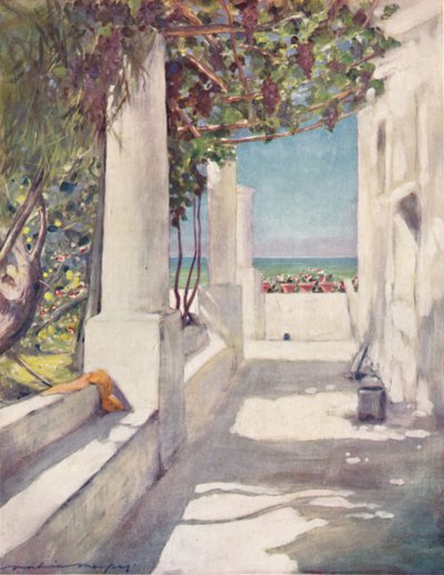 Capri by Mortimer L Menpes