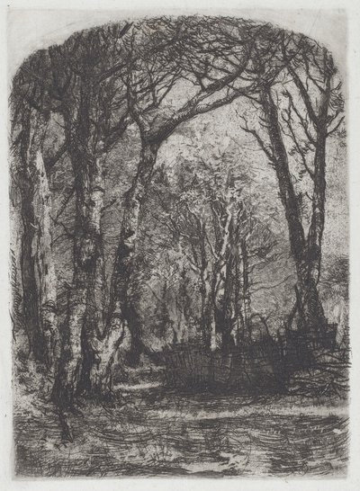 Woods by Mose Bianchi