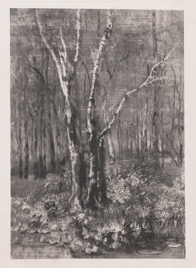 Woods in the Park near Monza by Mose Bianchi
