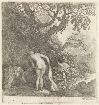 Bathing Woman, Seen from Behind by Moyses van Wtenbrouck