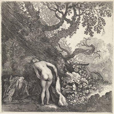 Bathing Woman Seen from Behind by Moyses van Wtenbrouck