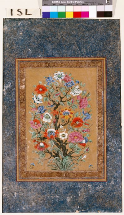 Mythical Plant by Mughal School