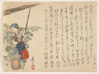 Tea Pickers by Murata Kagen
