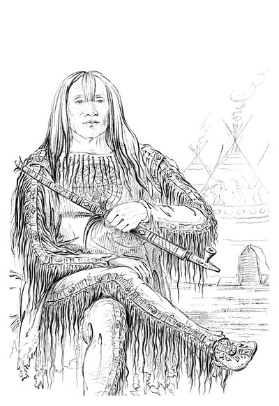 Chief of the Blackfoot Nation by Myers and Co