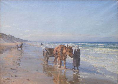 Coastal Dwellers Hauling a Net Ashore by N.P. Mols