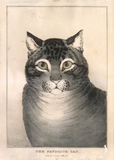 The Favorite Cat by Nathaniel Currier