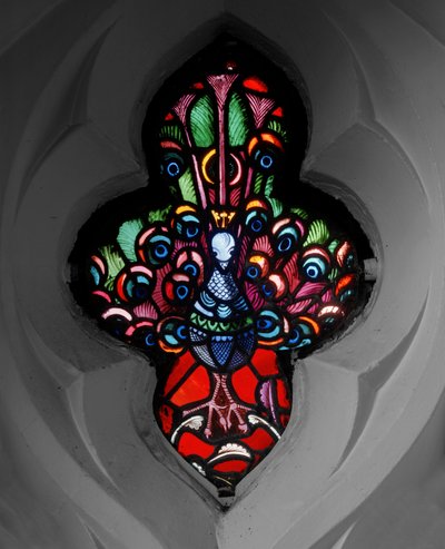 Peacock by Nathaniel Westlake